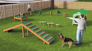 UDOGKIT01FRONT-430×242