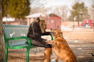 US-BP-TBARK-954-S6-Pooch-Perch-Bench-Lifestyle-2-4×6